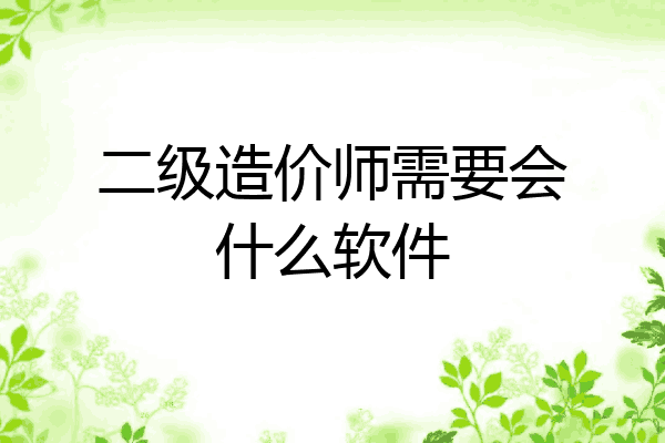 二级造价师需要会什么软件