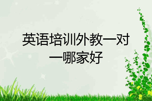 英语培训外教一对一哪家好