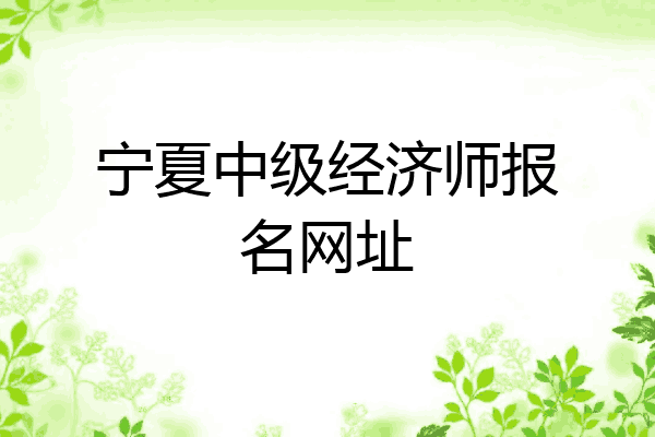 宁夏中级经济师报名网址