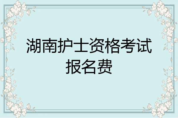 湖南护士资格考试报名费