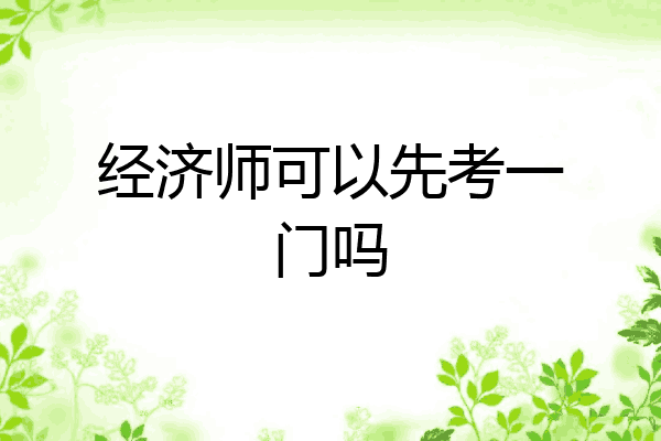 经济师可以先考一门吗