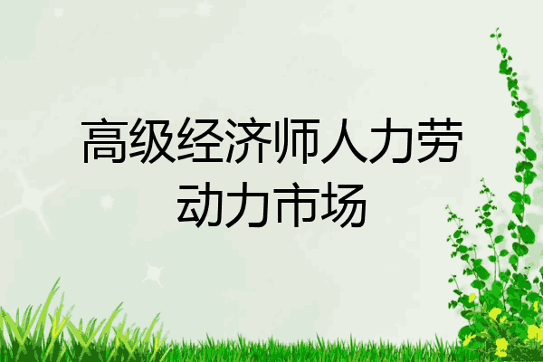 高级经济师人力劳动力市场