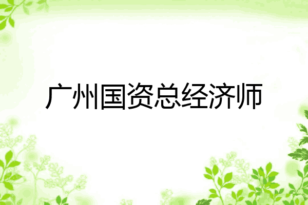 广州国资总经济师