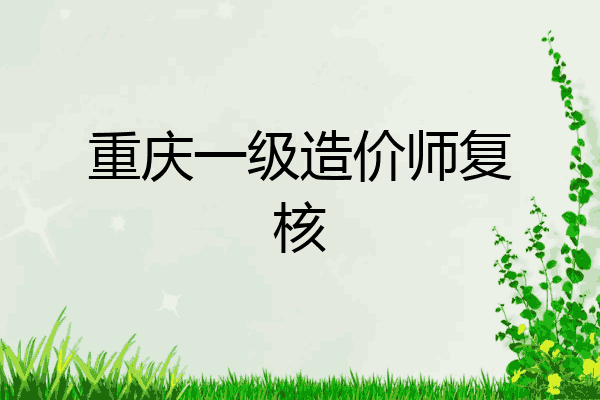 重庆一级造价师复核