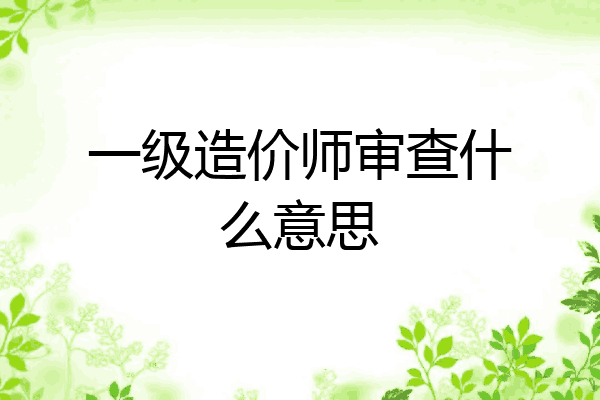 一级造价师审查什么意思