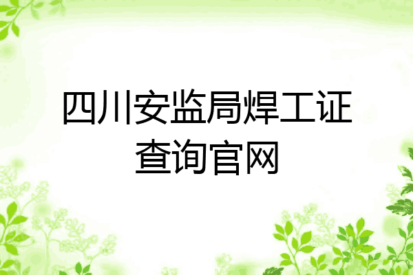 四川安监局焊工证查询官网