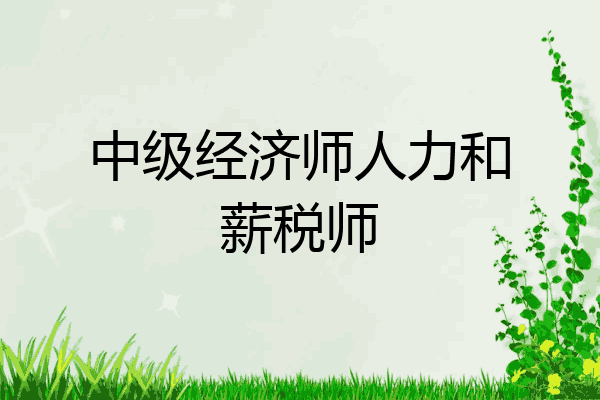 中级经济师人力和薪税师