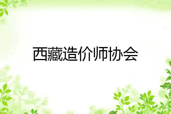 西藏造价师协会