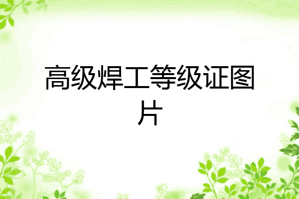 高级焊工等级证图片