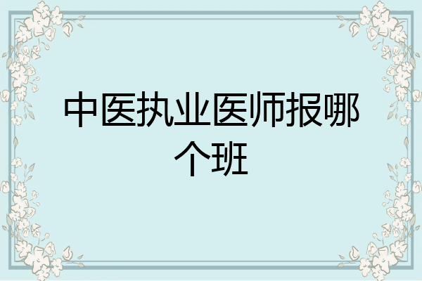 中医执业医师报哪个班