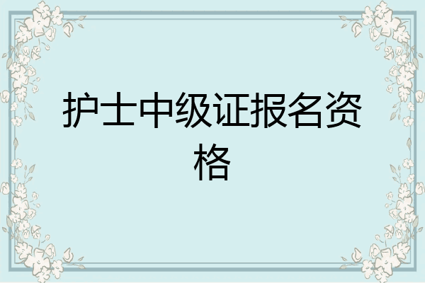 护士中级证报名资格