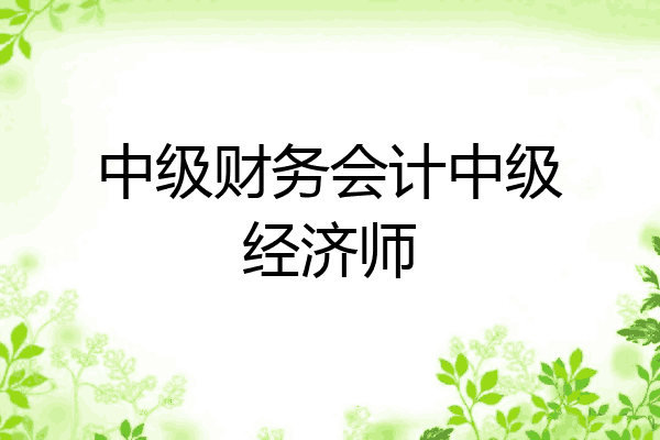 中级财务会计中级经济师