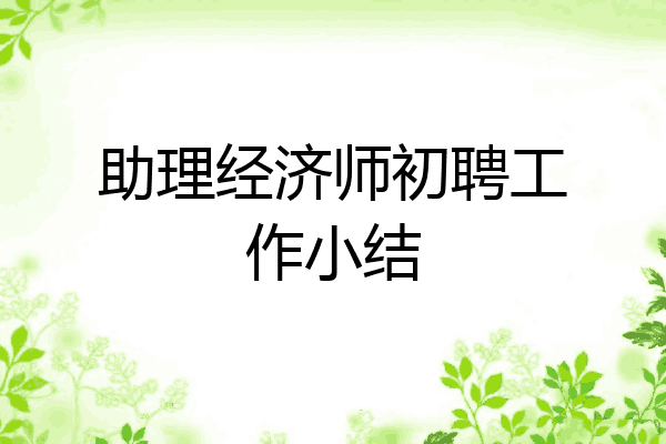 助理经济师初聘工作小结