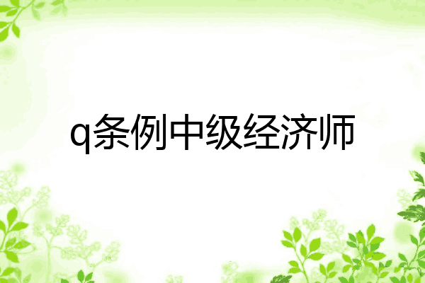 q条例中级经济师