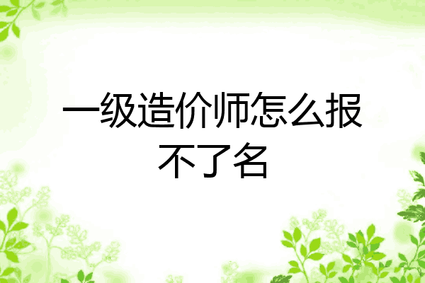 一级造价师怎么报不了名