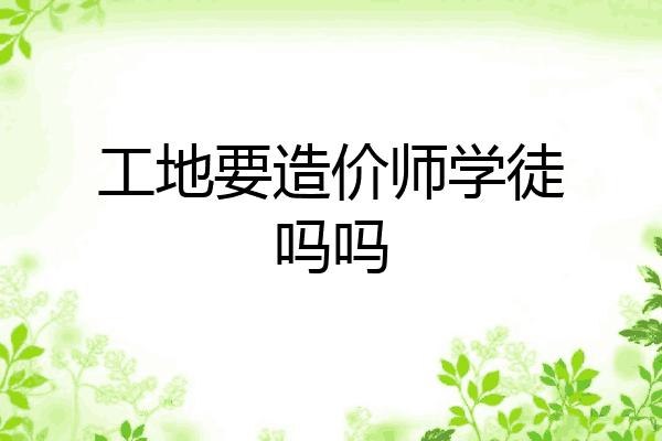 工地要造价师学徒吗吗