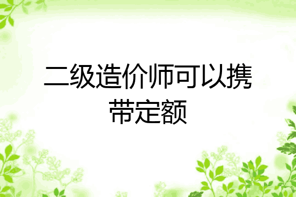 二级造价师可以携带定额