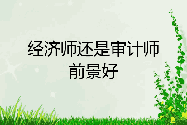 经济师还是审计师前景好