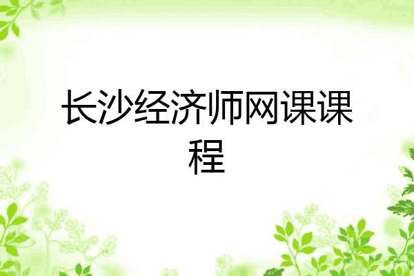 长沙经济师网课课程