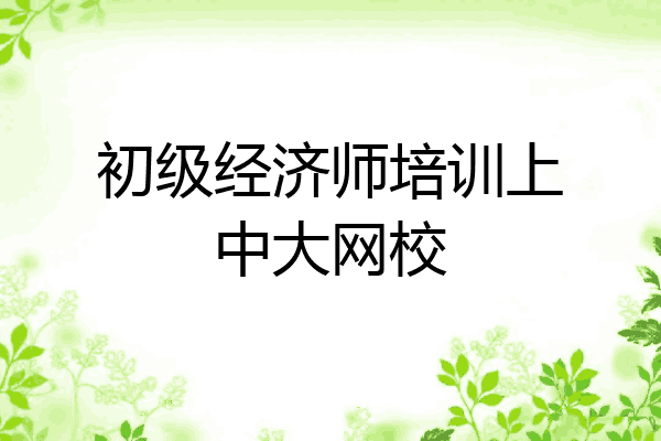 初级经济师培训上中大网校