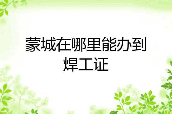 蒙城在哪里能办到焊工证