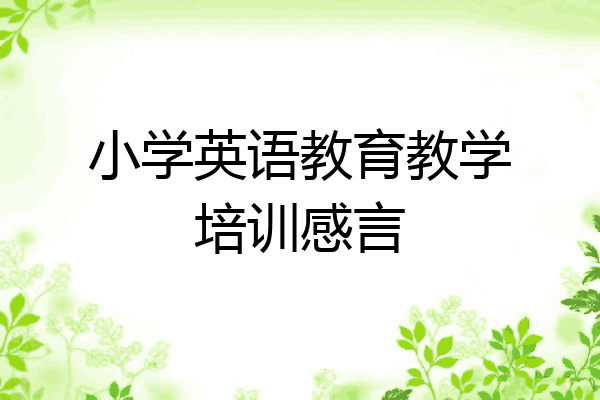 小学英语教育教学培训感言
