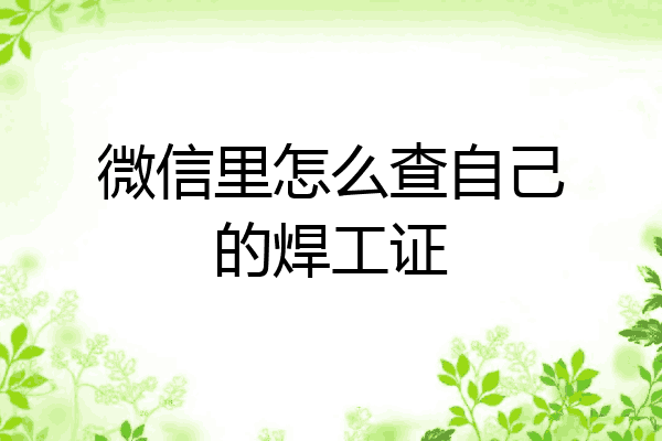 微信里怎么查自己的焊工证