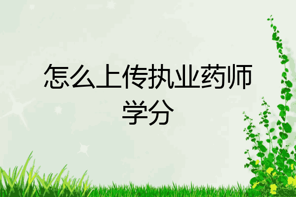 怎么上传执业药师学分
