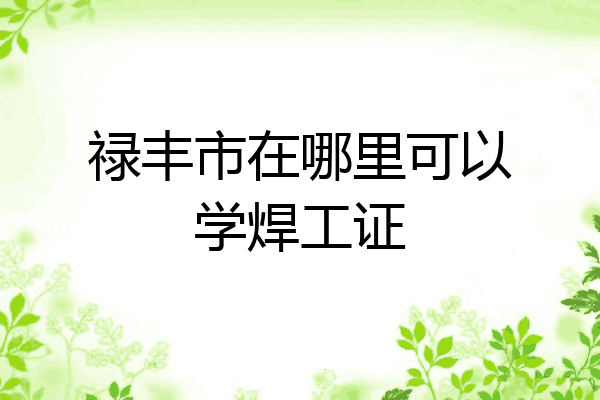 禄丰市在哪里可以学焊工证