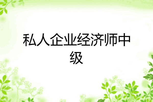 私人企业经济师中级