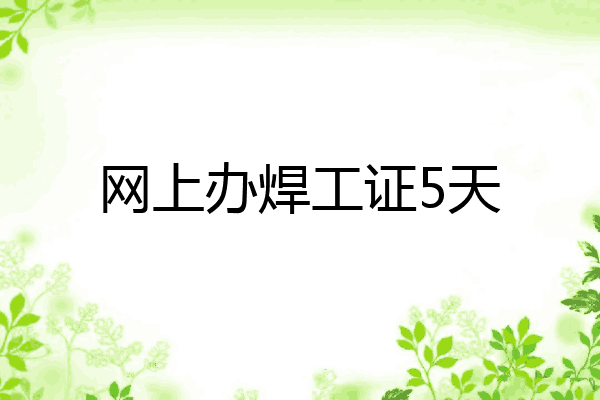网上办焊工证5天