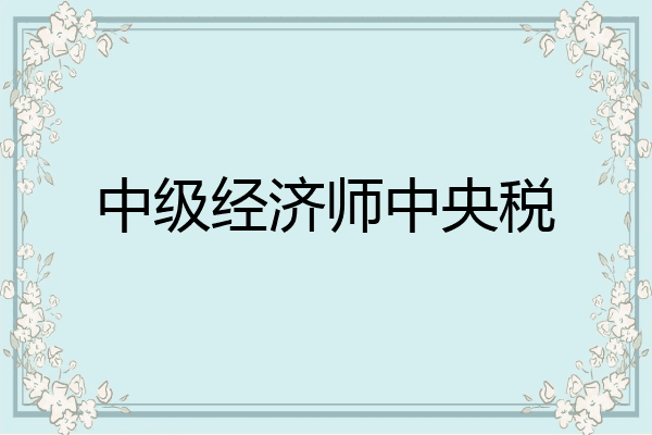 中级经济师中央税