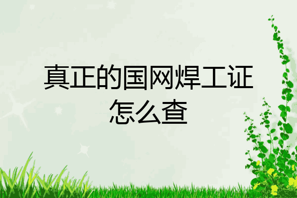真正的国网焊工证怎么查