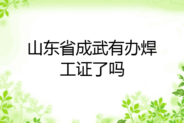 山东省成武有办焊工证了吗
