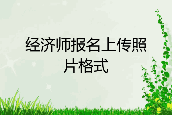 经济师报名上传照片格式