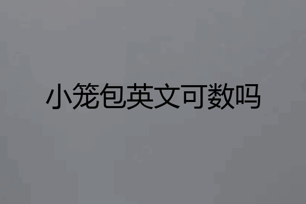 小笼包英文可数吗