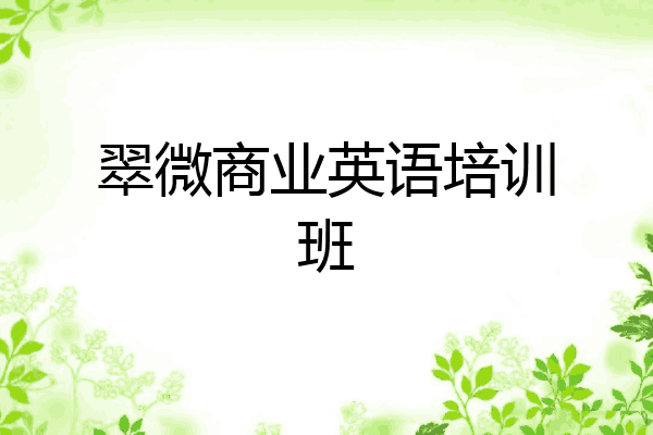 翠微商业英语培训班