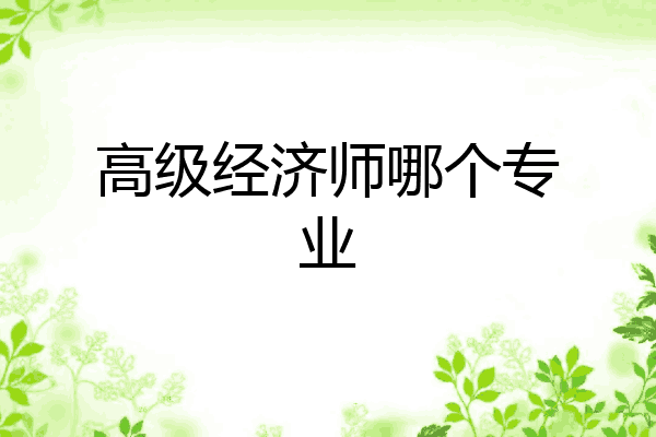 高级经济师哪个专业