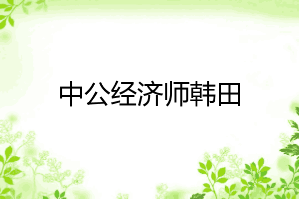 中公经济师韩田