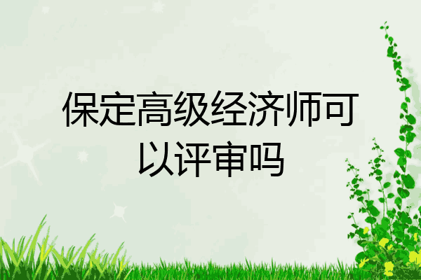 保定高级经济师可以评审吗