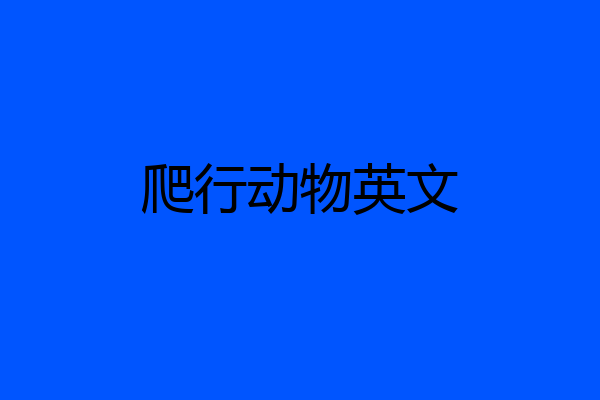 爬行动物英文