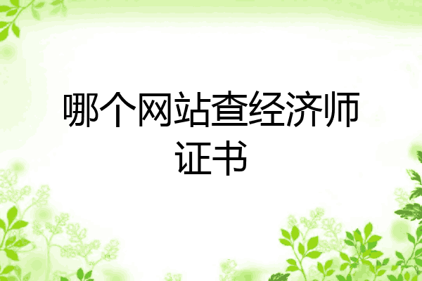 哪个网站查经济师证书