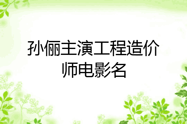 孙俪主演工程造价师电影名