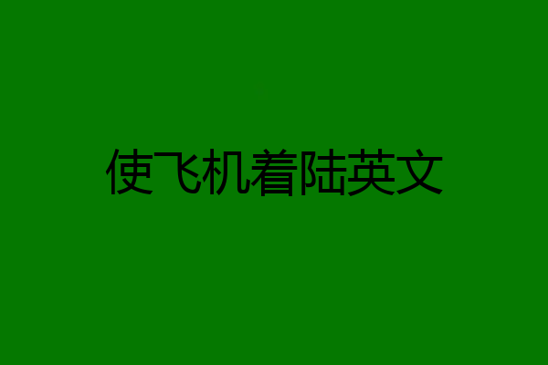 使飞机着陆英文