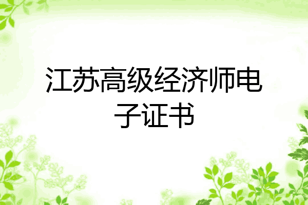 江苏高级经济师电子证书