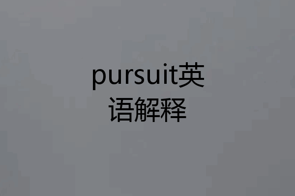 pursuit英语解释