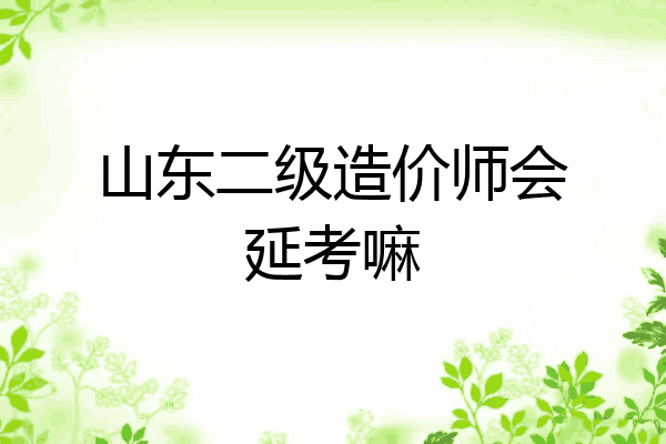 山东二级造价师会延考嘛