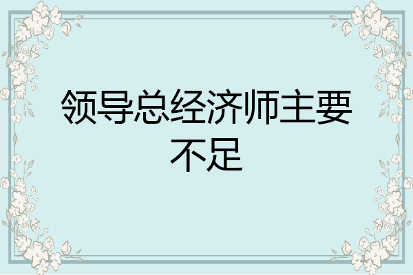 领导总经济师主要不足