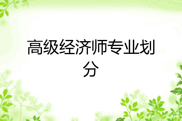高级经济师专业划分