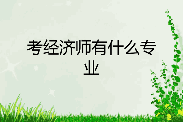 考经济师有什么专业